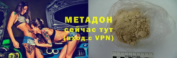 ГАЛЛЮЦИНОГЕННЫЕ ГРИБЫ Богданович