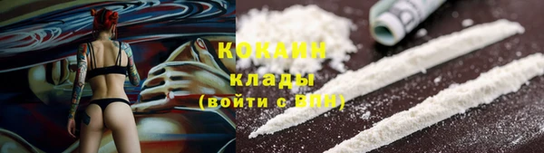 ГАЛЛЮЦИНОГЕННЫЕ ГРИБЫ Богданович