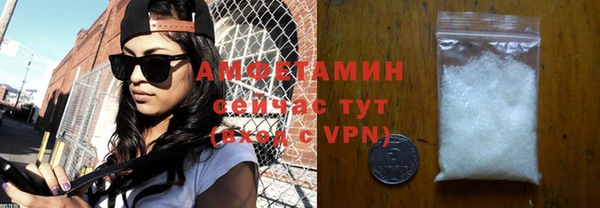 ГАЛЛЮЦИНОГЕННЫЕ ГРИБЫ Богданович