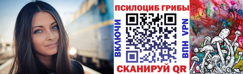 MEGA tor  Гаврилов-Ям  Галлюциногенные грибы мицелий  хочу  