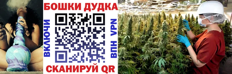 Бошки марихуана гибрид  наркота  Гаврилов-Ям 